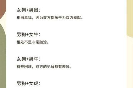 从生肖配对角度分析，属狗的人和属鼠的人结婚合不合？