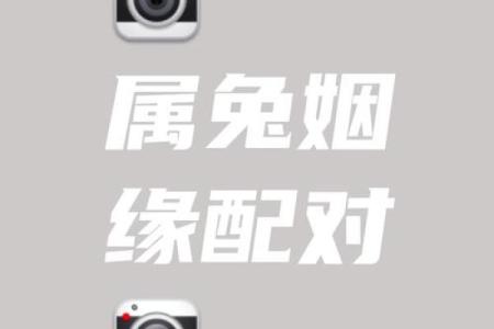 生肖兔和什么属相结合能够婚姻幸福长久且互相扶持