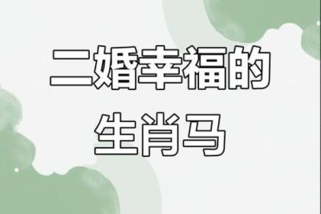 1990年出生的属马女性二婚概率高吗？如何化解婚姻危机？