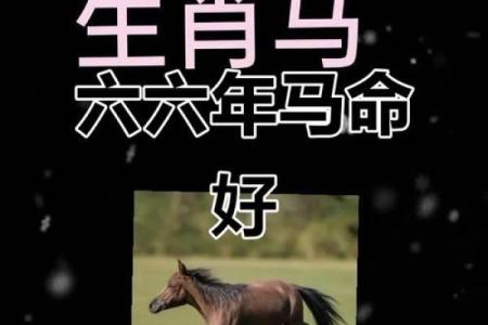 2002年属马哪年结婚好 2002年属马运势