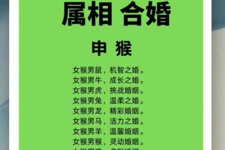 男羊女猴的婚姻结局如何？真实案例分析与性格磨合建议