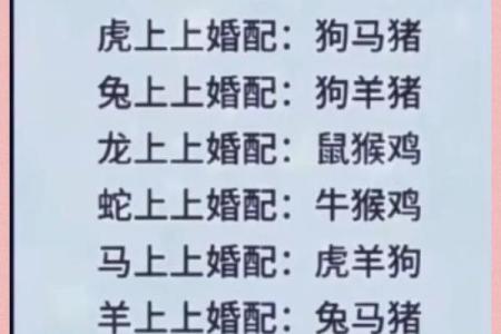猪和蛇的属相婚配是否合适，需要注意哪些方面？