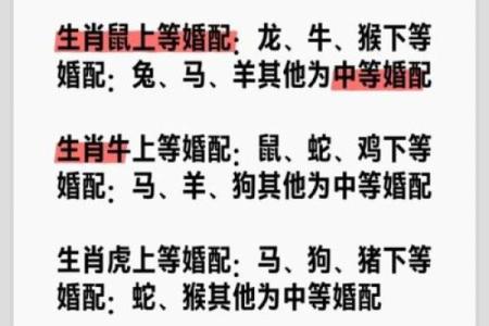 2002年属马的婚配禁忌有哪些需要注意的属相？