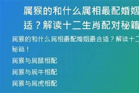 从生肖配对角度分析，属猴者与什么属相结合婚姻最幸福美满？
