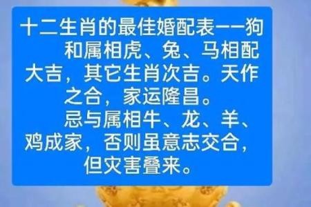 龙和狗属相婚配会幸福吗？性格合不合得来详细解析