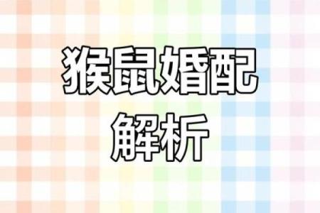 1992年出生的属猴人，最佳的婚配属相是哪些，需要注意什么？