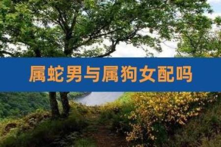属蛇二次婚姻最佳年龄是几岁需要注意哪些方面？