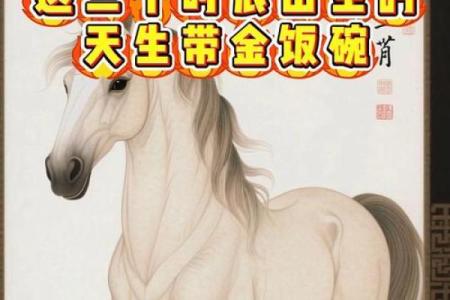 属马人如何把握第二段正缘，需要注意哪些方面才能顺利？