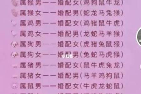 属蛇的最佳婚配年龄差距是几岁根据生肖命理