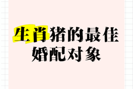 属猪女性格温和适合找什么样性格的丈夫为伴