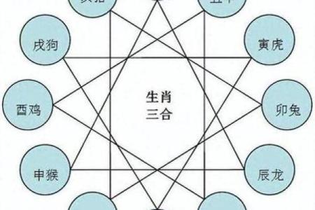 属猪的人与哪些生肖婚配最幸福长久，属相配对详解