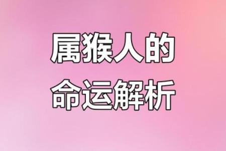 1992年属猴人的婚姻运势详解，一生会有几次婚姻经历？