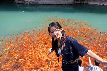 放锦鲤寓意着什么意思 锦鲤放生好吗