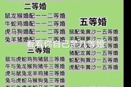 1990年属马人二婚最佳年份是何时，哪年再婚最幸福？