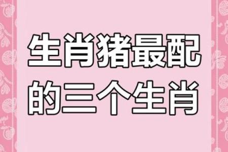 属狗和属猪的婚姻配对指数高吗？性格合不合得来