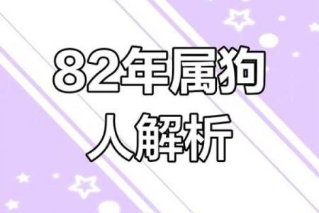 1982年出生的属狗女性2025年婚姻运势如何，需要注意什么