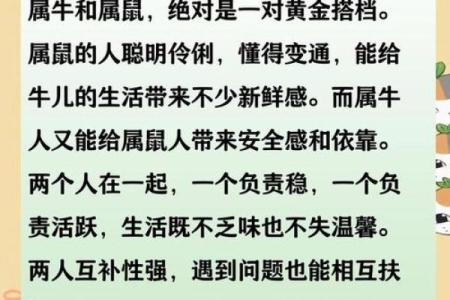 属牛的人婚配属相最佳选择，哪些生肖能带来幸福美满婚姻？