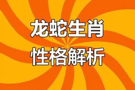 属蛇和属龙结婚后会面临哪些性格或运势冲突？