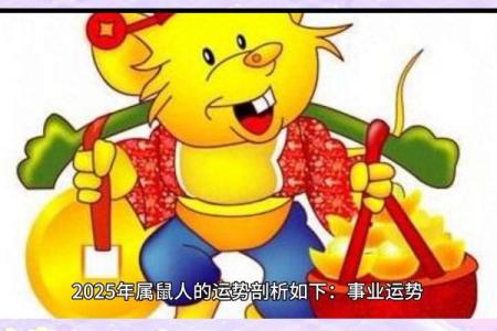 2008年属鼠女孩一生学业运势与未来发展方向解析