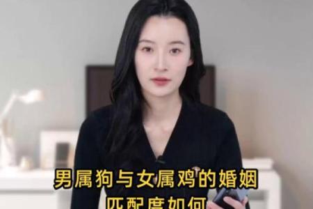 属鸡和属狗的婚姻是否幸福？从性格和运势角度分析配对建议