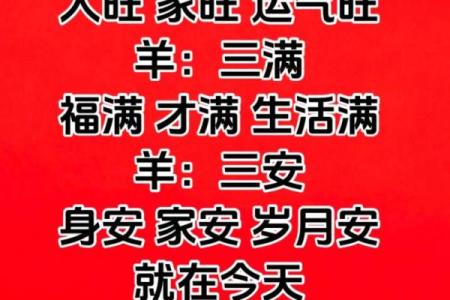 79年出生的属羊人第二次婚姻在哪一年最合适