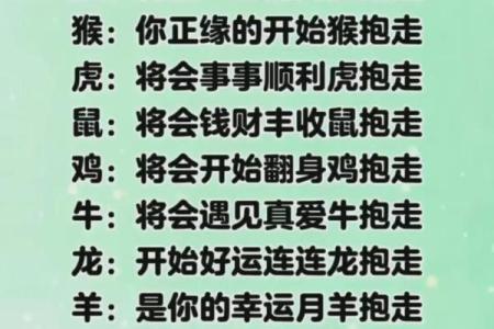 属龙男婚配属相指南：寻找命中注定的理想伴侣