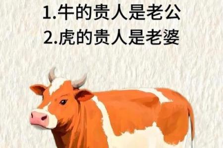 属牛的和什么属相结婚最幸福长久婚配