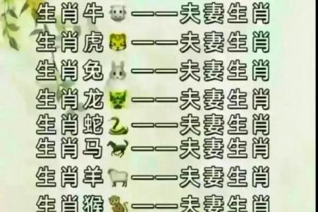 80年属什么生肖最佳配偶 80年属什么生肖最佳配偶呢