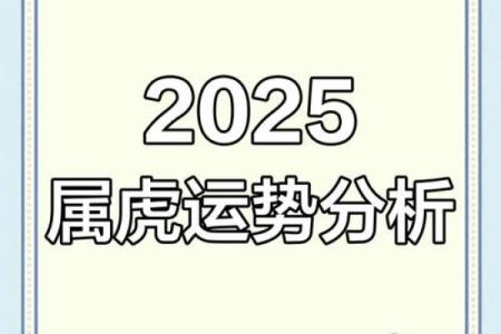 1998年属虎男2025年运势详解，感情婚姻会有新进展吗