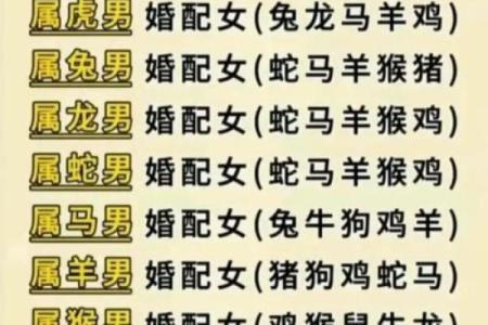 属猪的生肖和什么属相最配，婚姻配对情况如何查询？