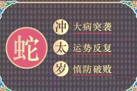 2019年犯太岁 2019年犯太岁的5个生肖
