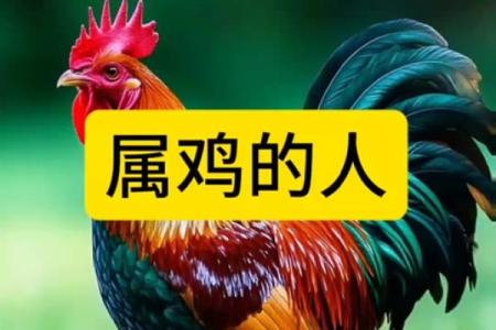 93年属鸡人第二段婚姻正缘的相遇时机与相处建议分析