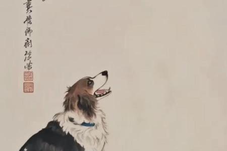 从传统生肖角度分析：男猪女狗婚姻的长期和谐度与潜在挑战有哪些？