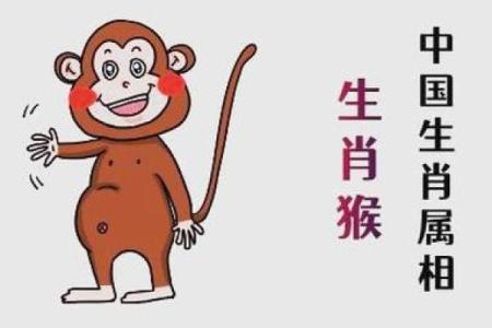 1992年属猴一生有几次婚姻，如何化解感情中的坎坷与危机？