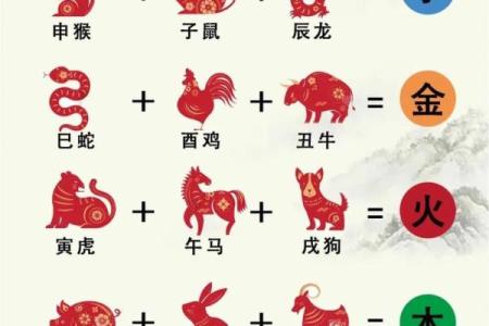 出神入化指什么生肖