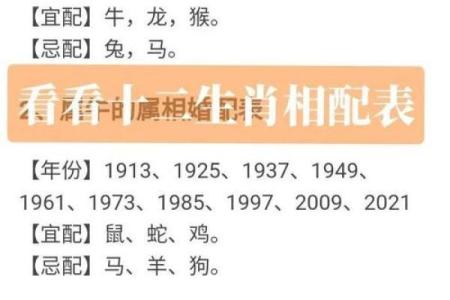 女蛇大男马1岁婚配合适吗？生肖配对与年龄差详解