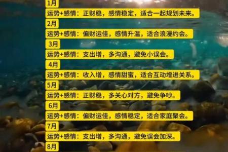 1996年属鼠男一生的婚姻运势如何详细解析