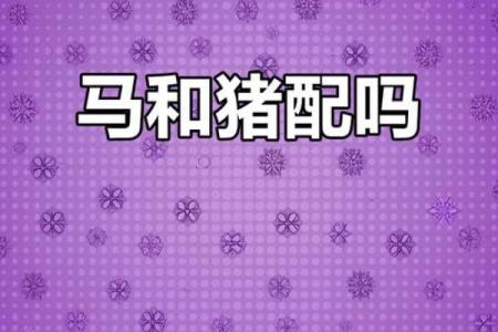 属马的人和什么属相最配婚姻幸福，生肖配对中马的最佳伴侣是谁？