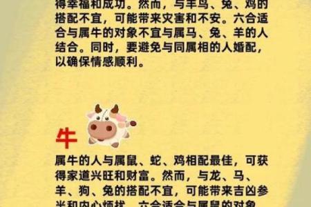 马和猪属相婚配是否合适？从性格和运势角度分析配对优缺点