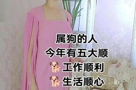 属狗的人和什么属相合作事业最顺利财运最佳