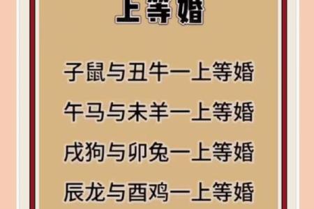 属马和属蛇的婚配是否合适？从生肖配对角度分析婚姻幸福指数