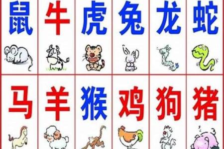 十二生肖是大哥什么生肖