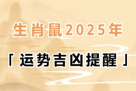 1972年出生的鼠男2025年每月运势预测，需要注意哪些重要事项？