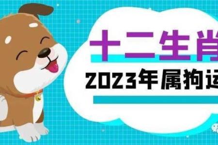 94年属狗女何时遇到正缘，最佳结婚年份是几岁？