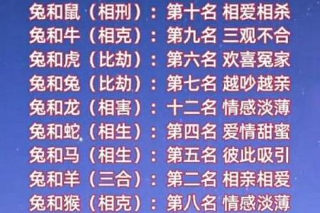 属兔的人婚姻配对指南，与哪些生肖结合能够幸福长久？
