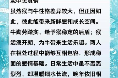 属龙和属蛇的婚姻配对是否真的合适长久？
