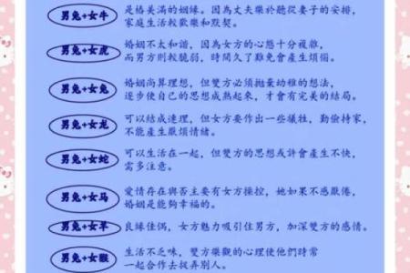 鸡和兔子属相婚配是否合适？解析两者性格与婚姻契合度