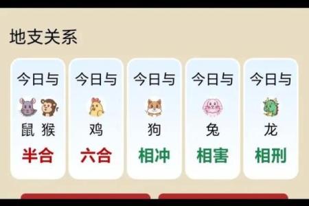 鸡狗生肖不合怎么破解？夫妻或情侣属相相害的化解方法与建议