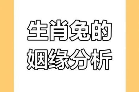 从生肖配对角度分析，兔和龙在一起合作共事是否顺利和谐