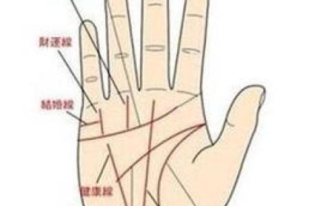 男人手相算命(男人手相算命怎么看婚姻)
